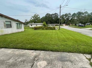 Megan L.'s grass maintenance service result