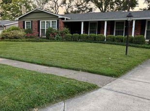 David M.'s lawn maintenance service result