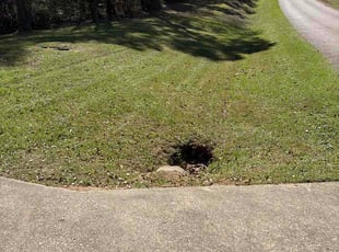 Danielle D.'s turf care service result