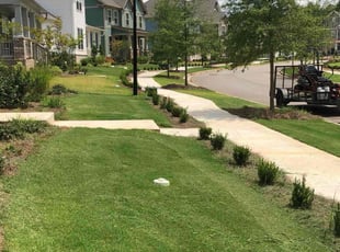 James A.'s grass cutting service result