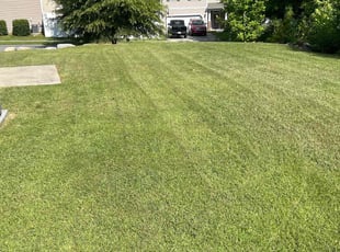 Satchel W.'s lawn maintenance service result
