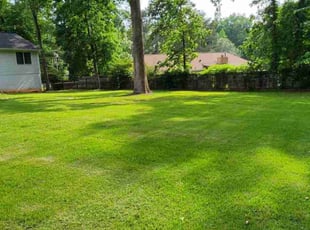 Susan B.'s lawn care service result