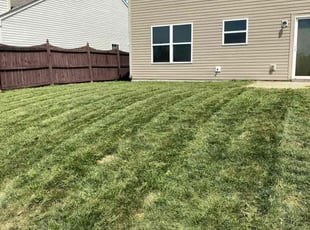 Ava S.'s grass cutting service result