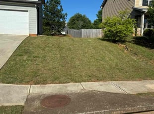 Caryn D.'s lawn care service result