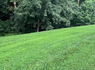 Martha F.'s lawn care services service result