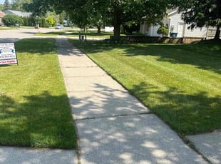 Alyssa M.'s lawn care services service result