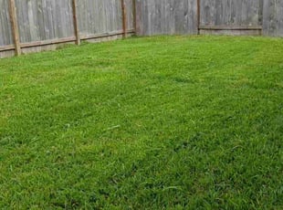 Eboni C.'s lawn maintenance service result