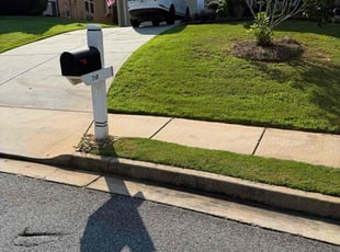 Cecily B.'s lawn care services service result