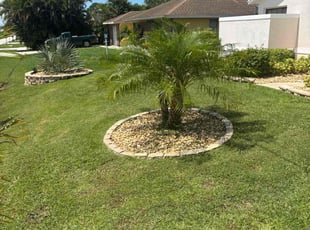 Krystal M.'s grass maintenance service result