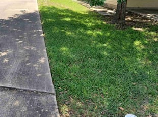 Beverly H.'s lawn service service result