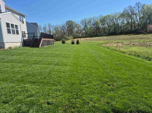 Jen J.'s turf care service result