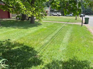 Kimberli M.'s turf maintenance service result