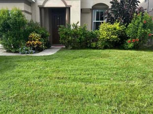 Andrea M.'s lawn maintenance service result