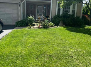 Takia W.'s lawn care services service result