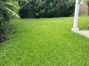 John R.'s lawn care services service result
