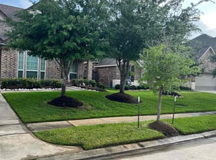 Denise C.'s lawn care service result