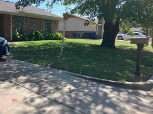 Tarek A.'s lawn maintenance service result