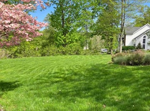 Katrina M.'s lawn care services service result