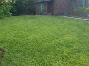 Tondie B.'s turf care service result