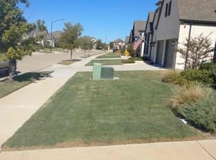 Joyce T.'s lawn care service result