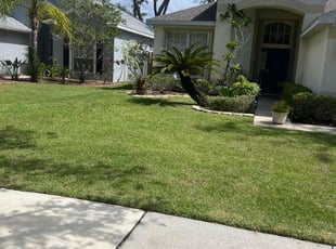 Matthew M.'s landscaping services service result