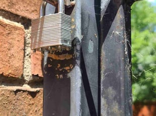 Susan P.'s turf maintenance service result