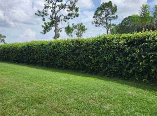 Vernon H.'s Bush Trimming service result