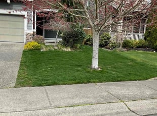 Robyn B.'s grass cutting service result