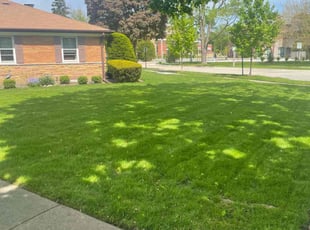 Linda B.'s lawn care service result