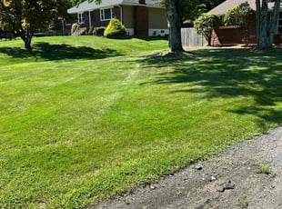 Tiffany T.'s grass maintenance service result
