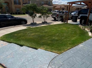 Renee C.'s grass maintenance service result