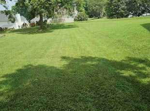 Deborah F.'s turf care service result