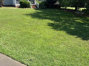Veronica L.'s turf maintenance service result