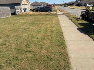 Sia D.'s lawn care service result