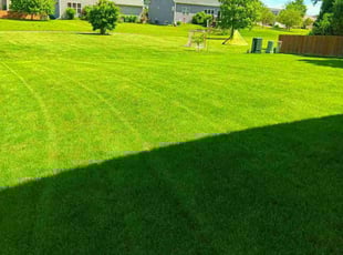 Melissa P.'s grass cutting service result