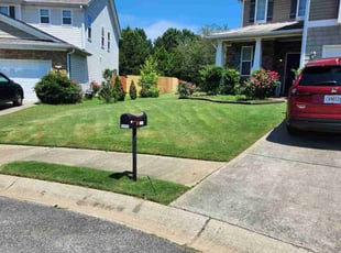 Toni W.'s lawn care service result