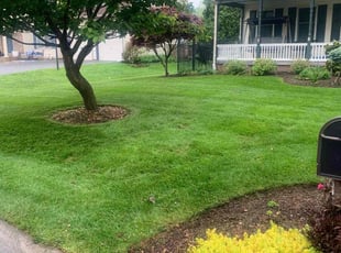 Michele M.'s turf maintenance service result