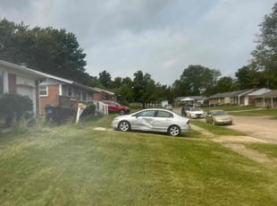 Joe M.'s lawn maintenance service result