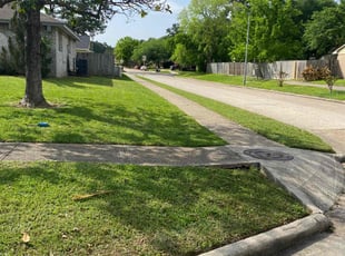 Carazett J.'s landscaping service result