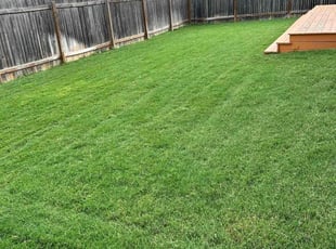 Lanita M.'s lawn care service result