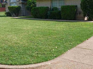 Kaycey R.'s lawn care service result