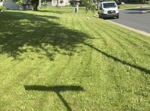 Linda M.'s lawn care services service result