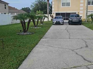 steve b.'s lawn service service result