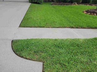 William D.'s lawn service service result