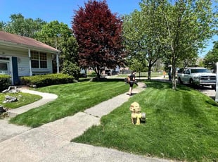 Megan B.'s grass maintenance service result