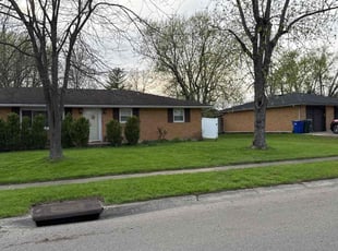 Stephen R.'s grass cutting service result