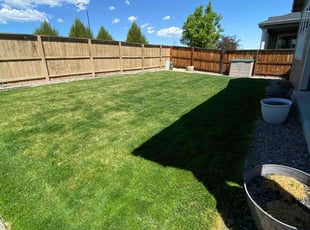 Marcus D.'s lawn care services service result