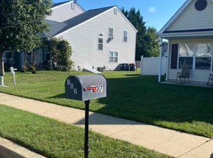 Lem A.'s turf care service result