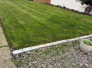 Brian D.'s turf care service result