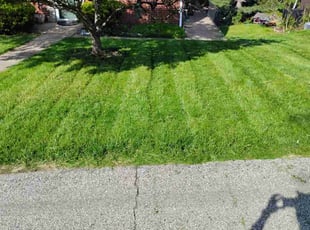 William M.'s lawn service service result
